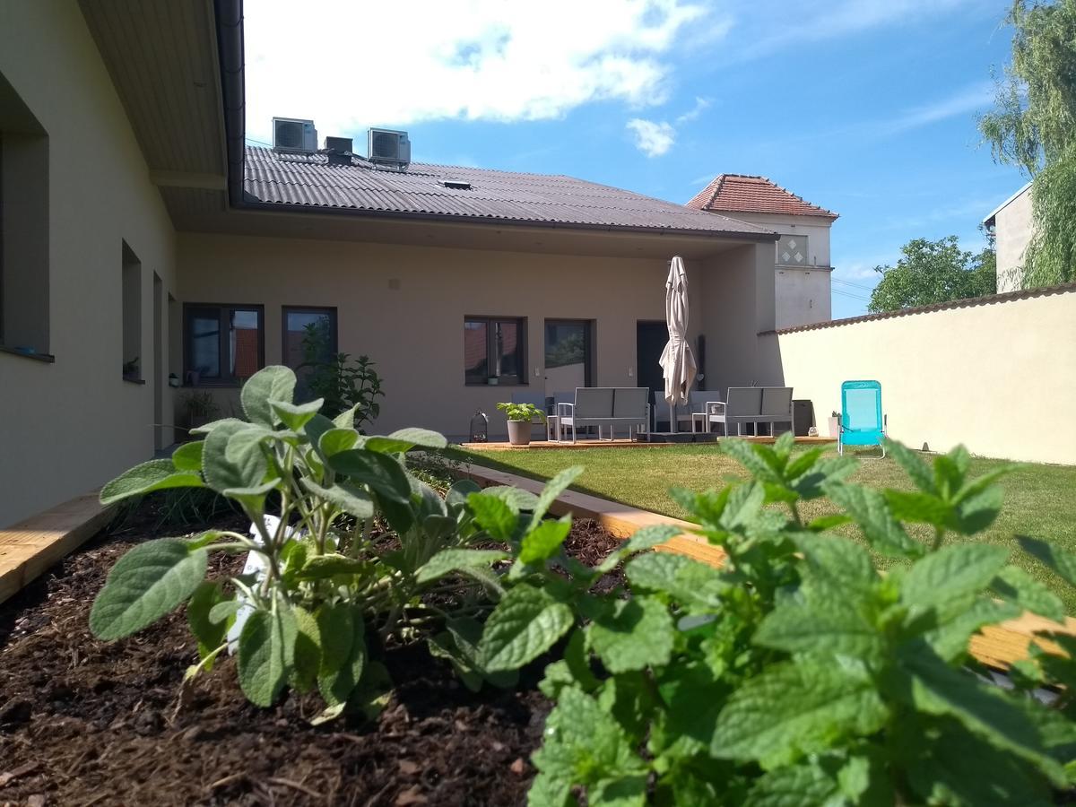 Sabines Apartments Ferienwohnungen Frauenkirchen Exterior photo